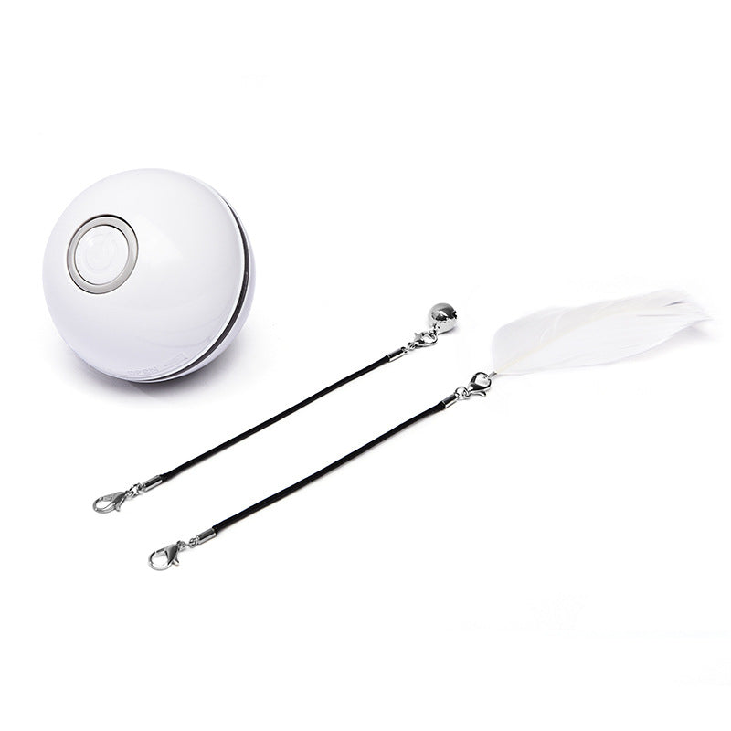 RoamTails™ LED Laser Interactive Toy Ball