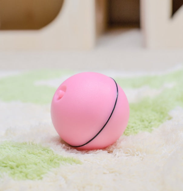 RoamTails™ LED Laser Interactive Toy Ball