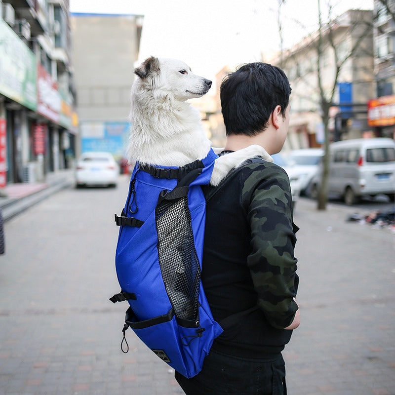 RoamTails™ Explorer Pet Carrier Backpack