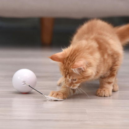 RoamTails™ LED Laser Interactive Toy Ball