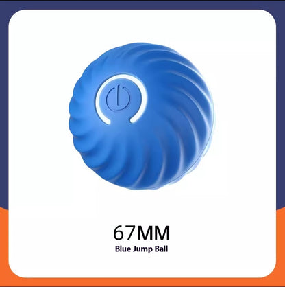 RoamTails™  Smart Interactive Dog Ball
